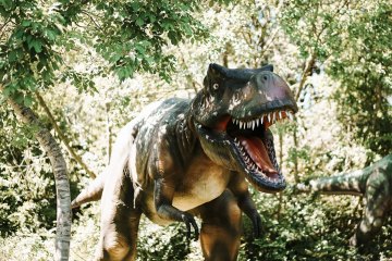 Dinopark in Funtana, foto 1