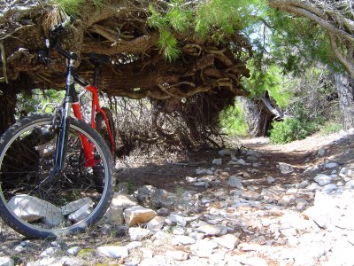 Vransko jezero  - Mountin biking - Tour 38km