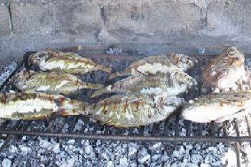 Fish piknik- Vrgada, Kroatien, Norddalmatien