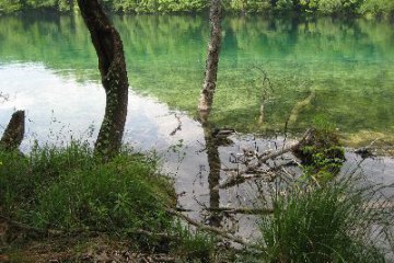 Nationalpark Plitvicer Seen, foto 34