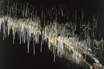 Die Höhle von Postojna (Sloweinen), foto 20