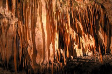Die Höhle von Postojna (Sloweinen), foto 4